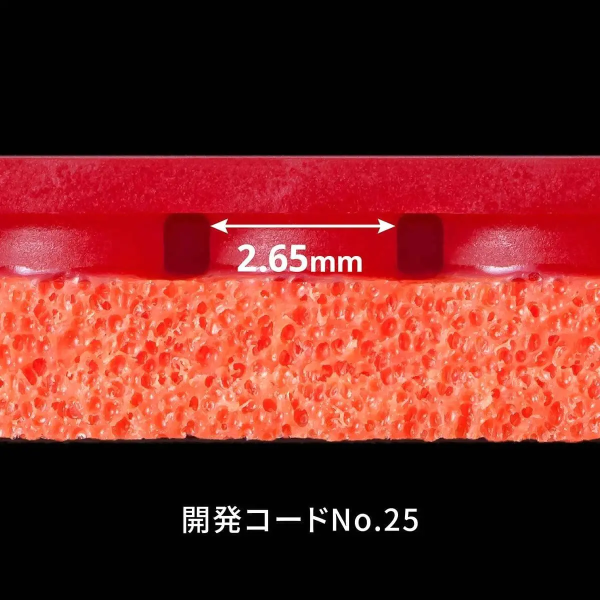 テナジー25FX - 画像 5