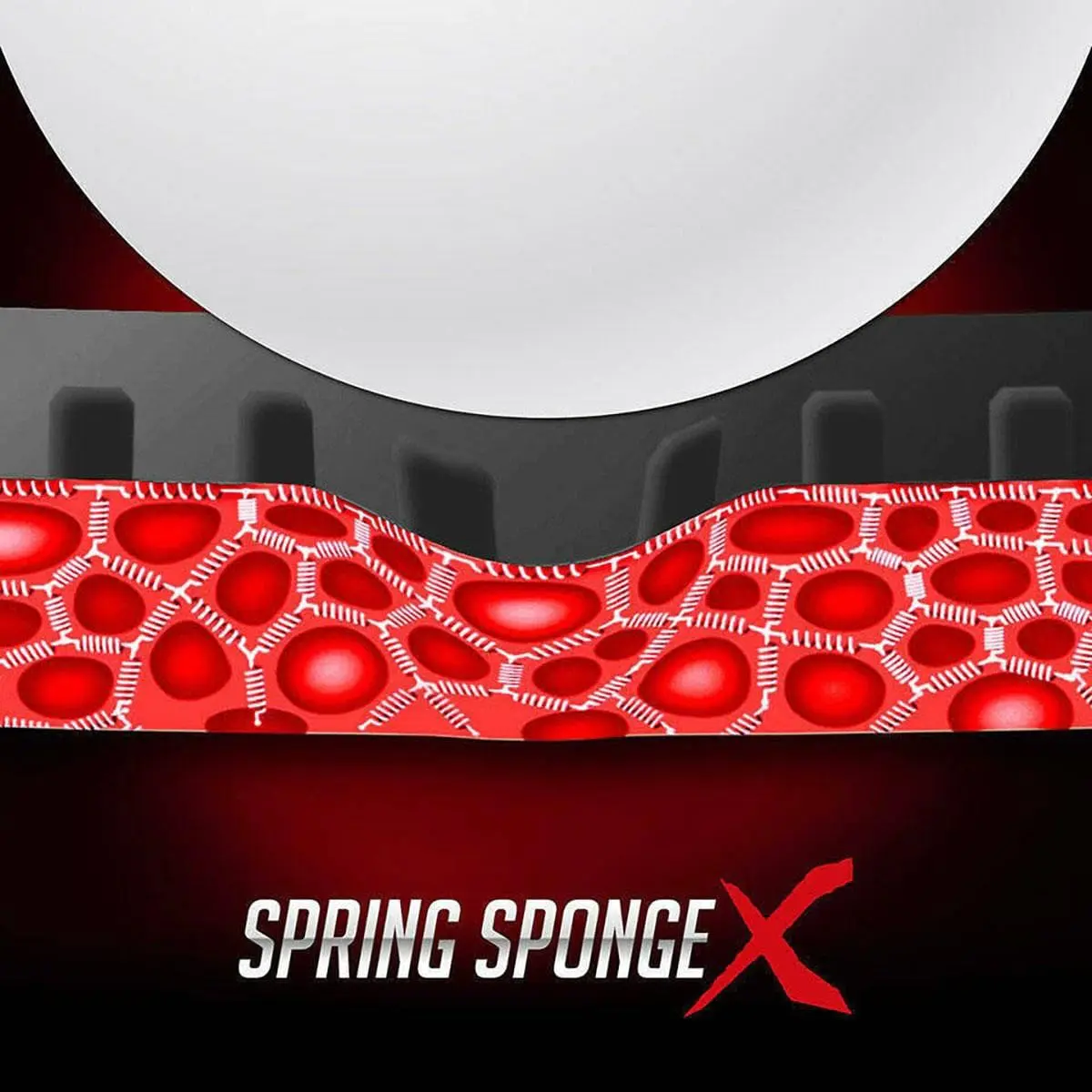 ディグニクス09C - 画像 9