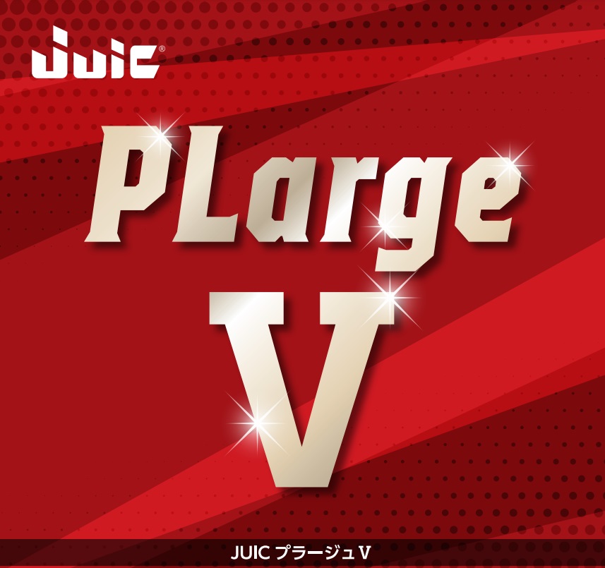 プラージュ Ⅴ（PLARGE Ⅴ）