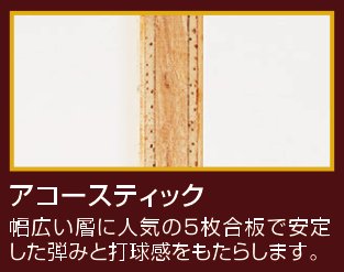 アコースティック C - 画像 2