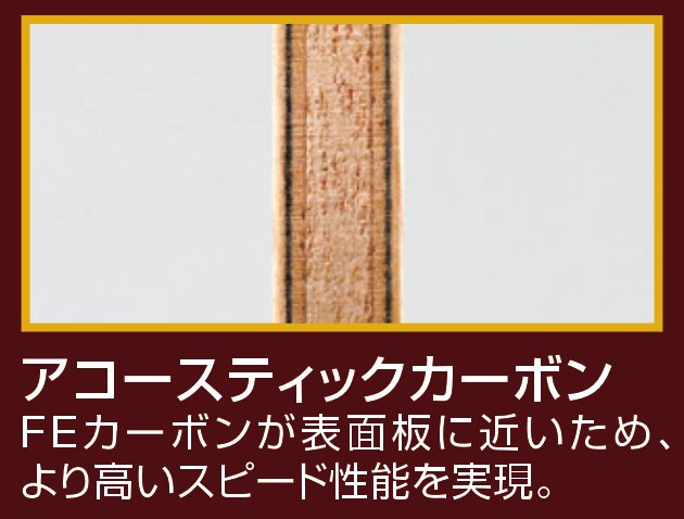 アコースティックカーボンG-REVISION - 画像 5