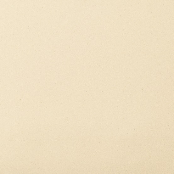 モリストSP AX - 画像 4