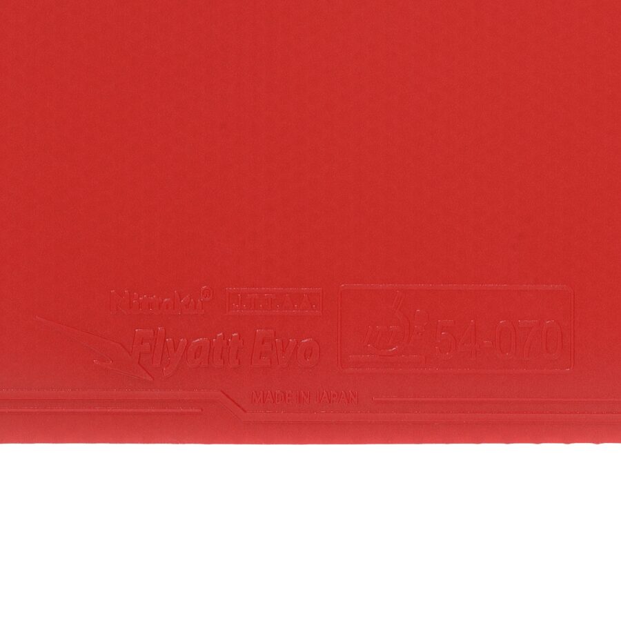 フライアット EVO - 画像 2